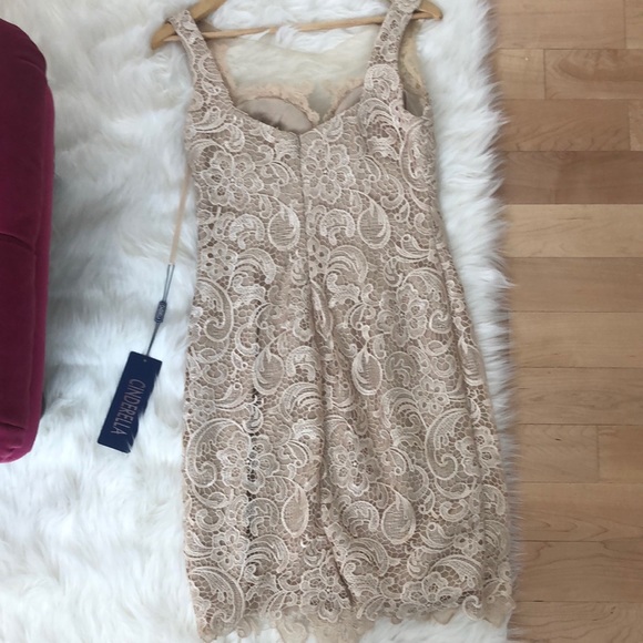 Beautiful Cinderella lace champagne dress - Picture 2 of 5